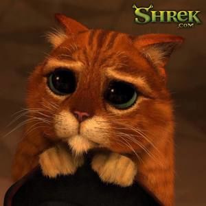 Meet your Posher, Heriberto