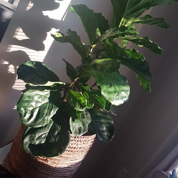 Meet your Posher, Brooke - Picture 1 of 1