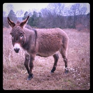 How can you be sad looking at this?