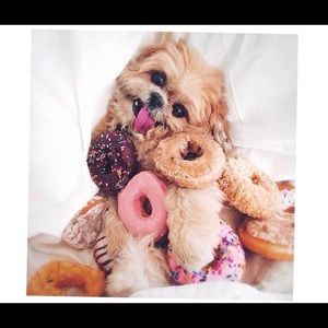 Meet your Posher, Priscilla