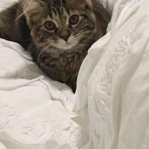 Meet your Posher, Victoria