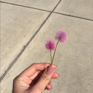 Meet your Posher, Vy