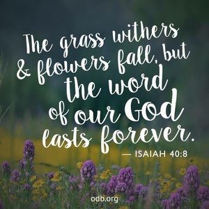 Meet your Posher, Carla