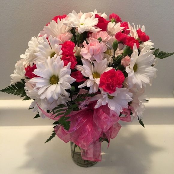 Meet your Posher, Serena - Picture 3 of 4