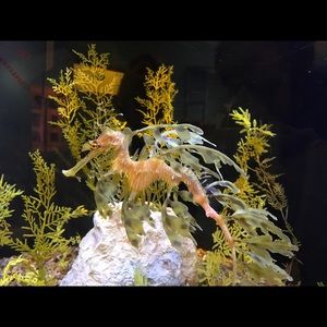 Meet your Posher, Kerim