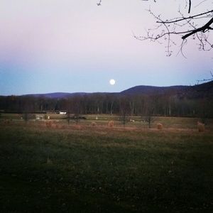 Meet your Posher, Elaine