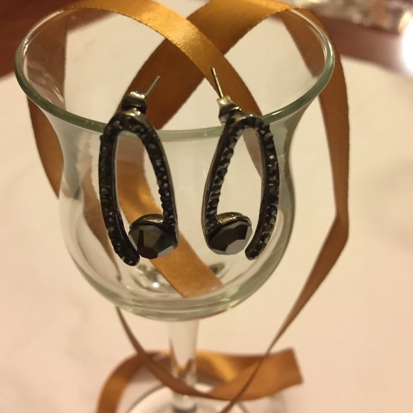 Adorable pair of Earrings. Brand new pair