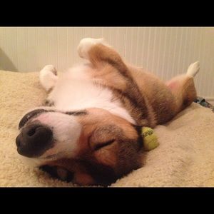 Meet your Posher, Ruby