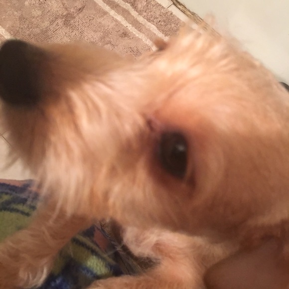 Meet your Posher, Jackie - Picture 1 of 1