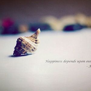 Meet your Posher, Iris