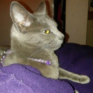 Meet your Posher, Candi