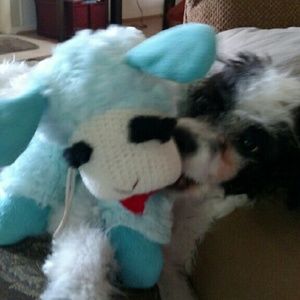 Meet your Posher, Deena