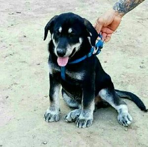 Meet your Posher, Edgar