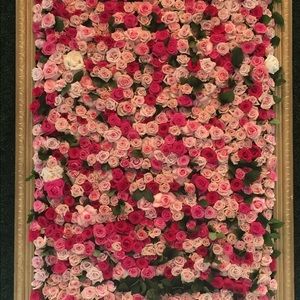 Meet your Posher, Stacey