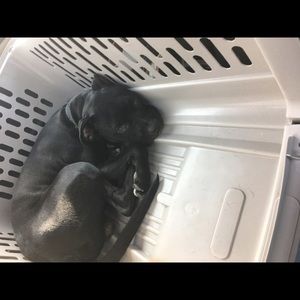 Meet your Posher, Tracy