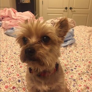 Meet your Posher, Ashleigh