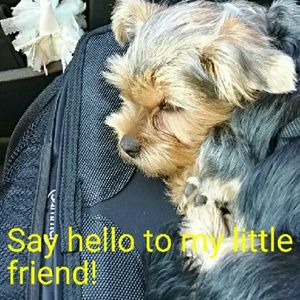 Make me an offer I can't refuse! ;)