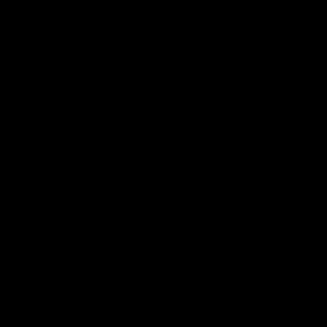 Meet your Posher, Jae