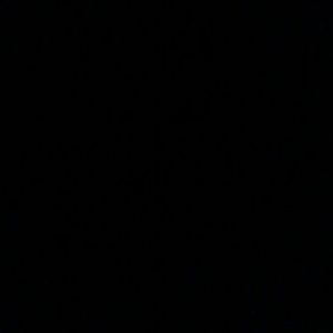 Meet your Posher, Tommy