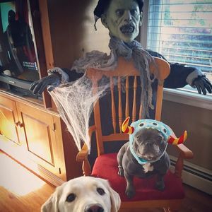 Meet your Posher, Lori