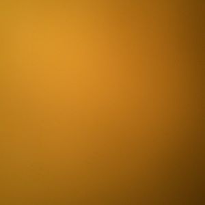 Meet your Posher, Sheena