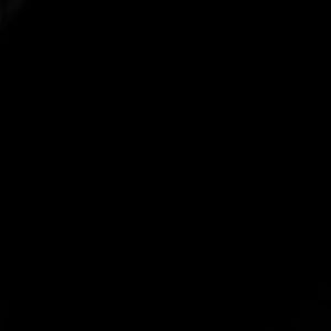 Meet your Posher, Louis