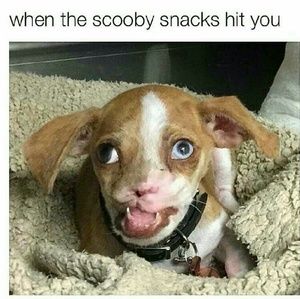 Meet your Posher, Aiden