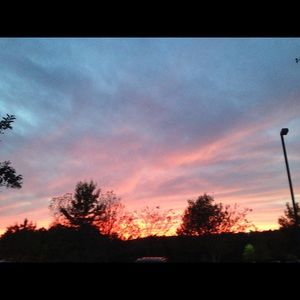 Meet your Posher, Carl