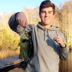 Meet your Posher, Carter