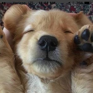 Meet your Posher, Dustin