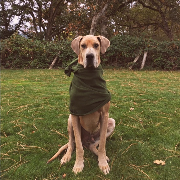 Meet your Posher, Caleb - Picture 1 of 1