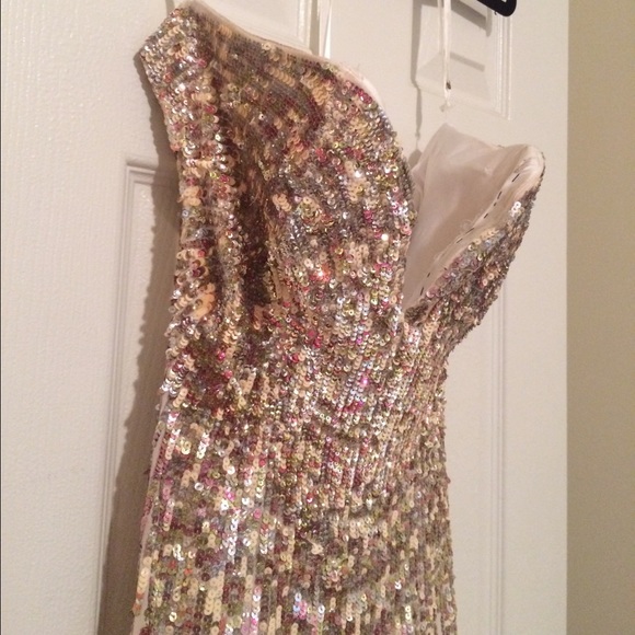 Terani Prom Dress.
