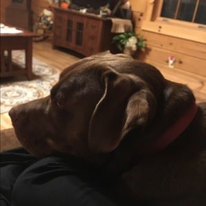 Meet your Posher, Connie