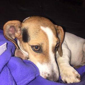 Meet your Posher, Corey