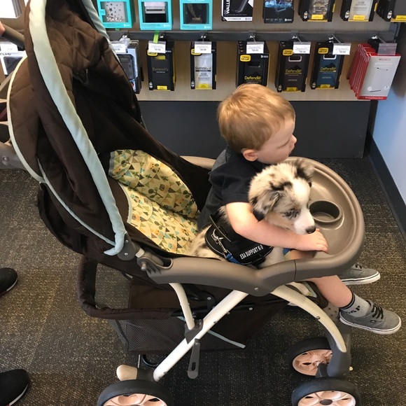 Meet your Posher, Amber - Picture 3 of 4