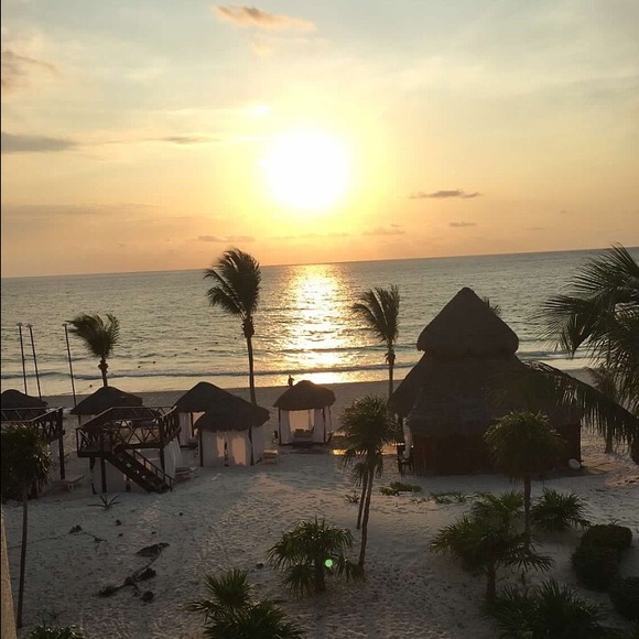 Meet your Posher, Gina - Picture 1 of 1