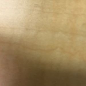 Meet your Posher, Sierra