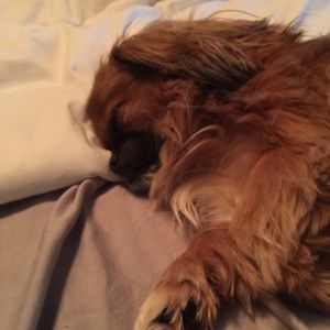 Meet your Posher, Irene