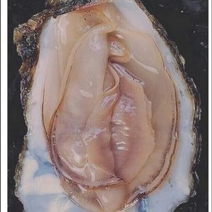 Meet your Posher, Gage