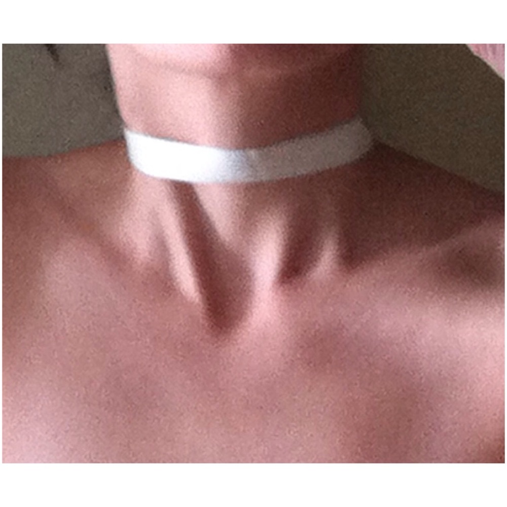 Organza and Satin Choker