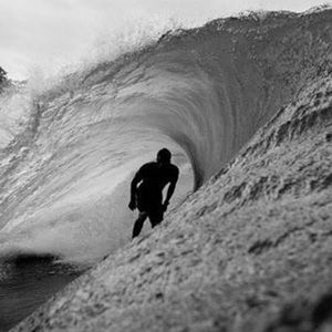 Meet your Posher, Fern