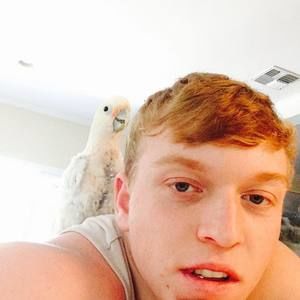 Meet your Posher, Patrick