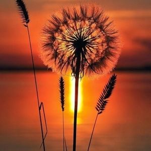 Meet your Posher, Karla