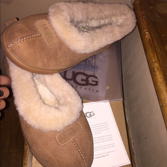 Uggs