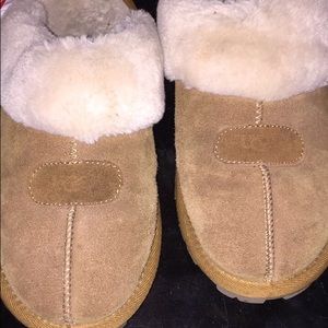 brown ugg slippers