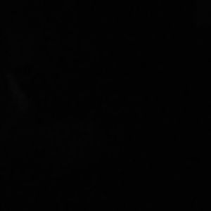 Meet your Posher, Cody