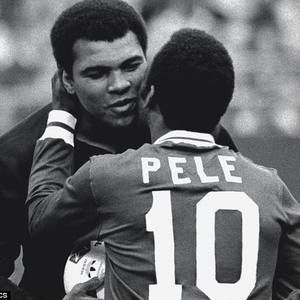 Meet your Posher, Sly