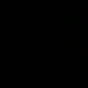 Meet your Posher, Gavin