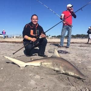 Meet your Posher, Jon jon