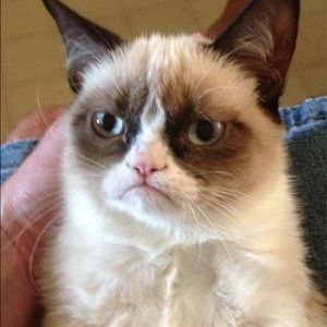 Meet your Posher, Lucas